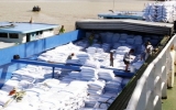 Thái Lan và Việt Nam dẫn đầu về xuất khẩu gạo