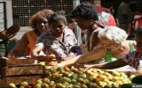 Cuba đẩy nhanh mở rộng mô hình kinh tế tư nhân