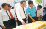 Bounding for hi-quality manpower for  Binh Duong’s future