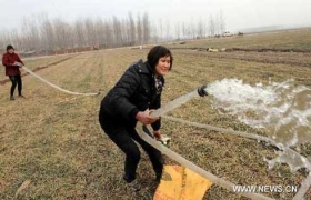 East China wheat basket braces for worst drought in 200 years