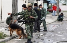 Thailand to hold election in first half of 2011