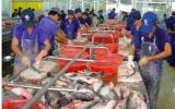 Don’t let Vietnam’s Tra fish be “stricken down”