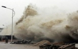 Powerful Japan quake won’t affect Vietnam