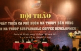 Coffee sector needs sustainable development strategy