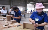 Employers and employees enjoy interests from vocational training