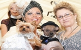 Tiêu 40.000USD làm đám cưới cho chó!
