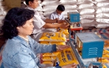 Xuất khẩu gạo bảo đảm cho các đơn hàng trong quý 2