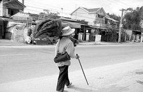Lát cắt cuộc đời