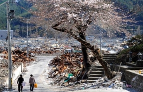 日本大地震已确认14300人遇难 11999人失踪