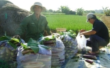 Making basic premises for the building of a new countryside