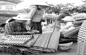 Đời... chiếu dạo!