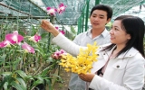 Tien Hung hi-tech agricultural park, a new way for local agricultural sector