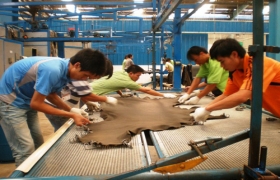 Bảo vệ môi trường bằng cây tre Việt Nam
