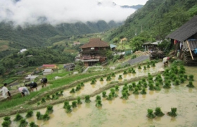 Đi thăm bản ở Sa Pa