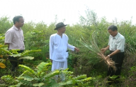 Lương y Mai Văn Mường  và vườn thuốc thiện nguyện