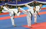 Taekwondo Vietnam dispatches to the 6th international championship