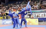 Vietnam tops Vovinam Championships