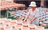 Thuan An’s industrial-handicraft production still maintains growth