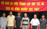 Quy Phat agro-service cooperative set up