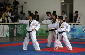 2011年平阳青年跆拳道比赛结束：土龙木市队获得集体一等奖
