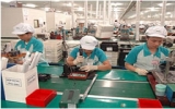 Vietnam urged to develop support industries
