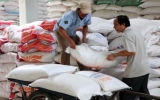 Đồng bằng sông Cửu Long xuất 4,1 triệu tấn gạo