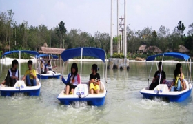 Các tour trong tỉnh hút khách