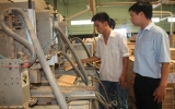 Training course on timber processing and industrial garment opened