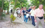 九龙江三角洲旅游业面向可持续发展目标