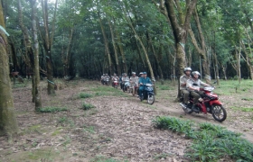 Về miền cao su