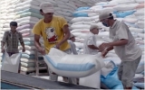 Indonesia xem xét khả năng mua gạo của Việt Nam