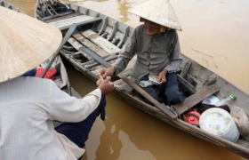 Ngồi không, nội muốn bệnh!