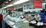 EU thực hiện chương trình giám sát giày mũ da xuất khẩu:  Thách thức mới cho ngành giày da Việt Nam