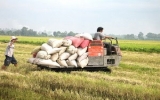 ASEAN promotes food security and trade