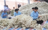 Handicraft products penetrate Japanese market