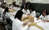 Vietnam, the Philippines boost cooperation in rice research