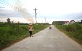 Binh Duong invests over VND300bil to improve rural electricity quality