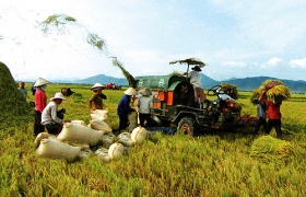 Năm 2012 sẽ đầu tư khoảng 370.000 tỷ đồng cho nông nghiệp