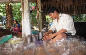 Nghề trồng nấm:  Qua rồi thời hoàng kim!