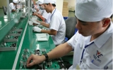 Golden opportunities coming, Vietnamese businesses … staying put