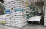 Philippines có thể sẽ nhập khẩu gạo của Việt Nam