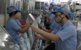 Công ty TNHH Showa Gloves Việt Nam:  Sẽ nâng vốn đầu tư lên 100 triệu USD