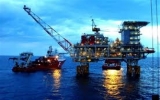 Oil and gas sector fetches US$34 billion in revenues