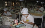 Các KCN Bình Dương:  Thu hút trên 211.500 lao động
