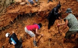 Philippines nỗ lực tìm kiếm người mất tích sau vụ lở đất