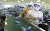 VSIPs absorb US$616mln in FDI capital in 2011