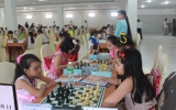 Open Youth Chinese Chess tournament 2012 in southeastern region absorbs over 230 players