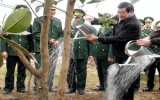 Chủ tịch nước phát động Tết trồng cây Xuân 2012