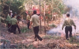 Triển khai nghiêm túc các phương án phòng cháy chữa cháy rừng