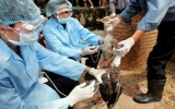 Int’l seminar on prevention of bird flu infections